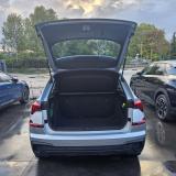 Skoda Kamiq 1.0 tsi Black Dots 115cv dsg